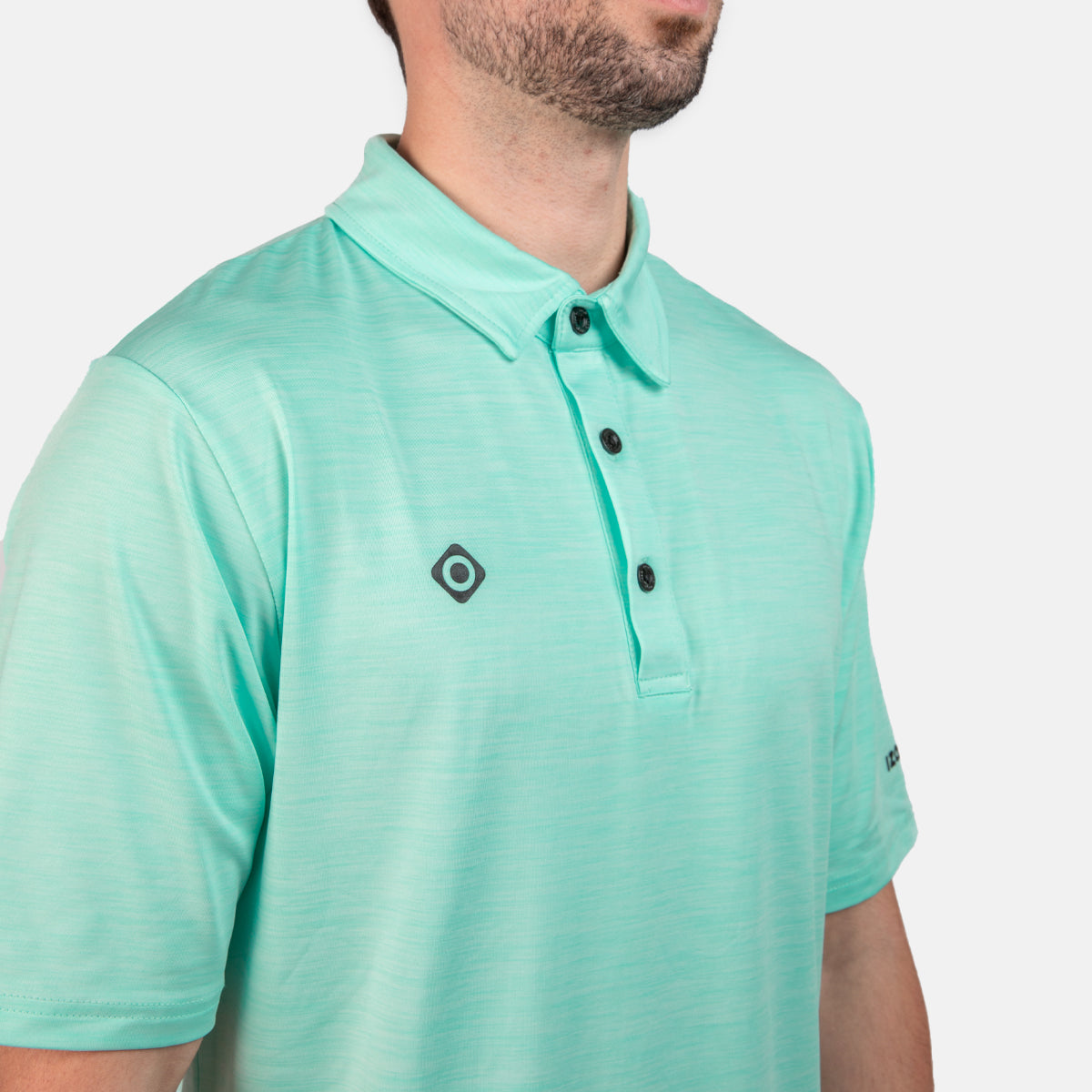 INSEGUIMENTO DEL POLO