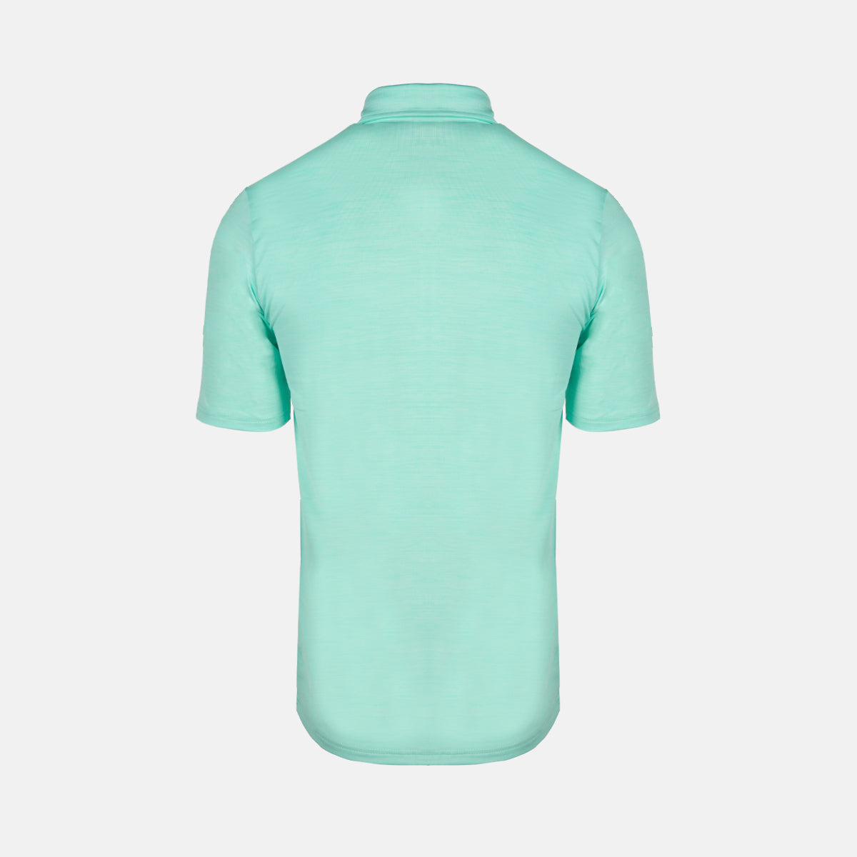 INSEGUIMENTO DEL POLO