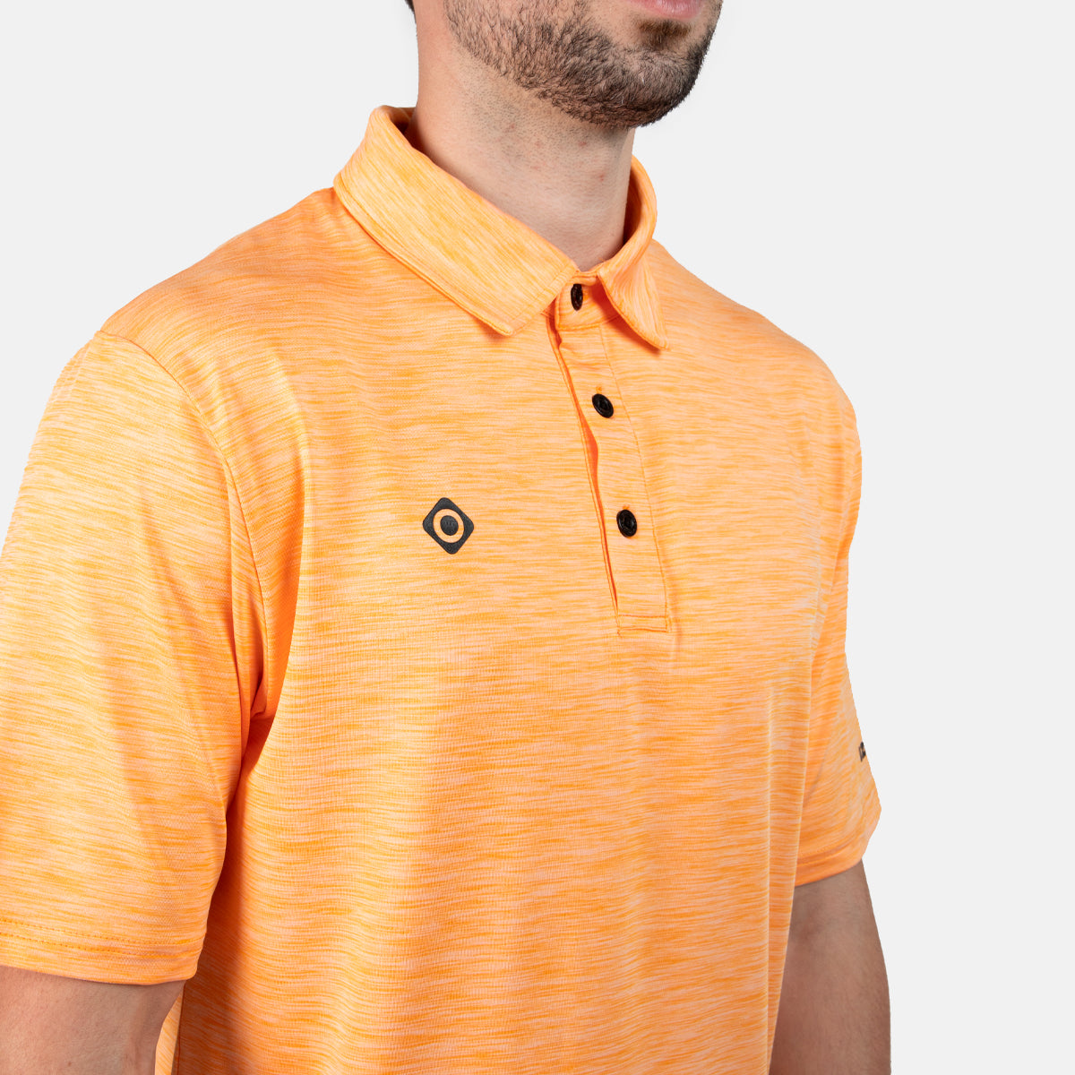 INSEGUIMENTO DEL POLO