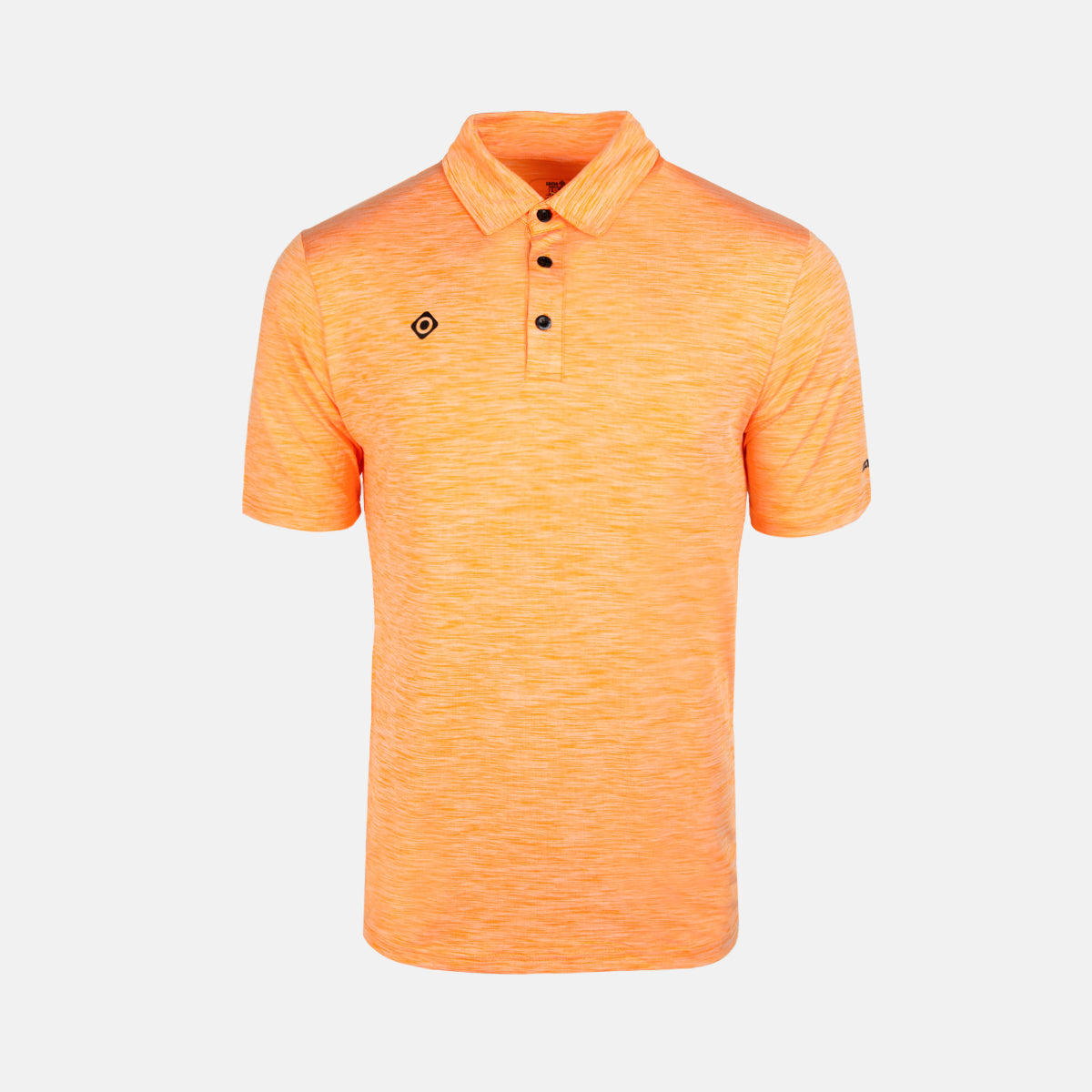 INSEGUIMENTO DEL POLO