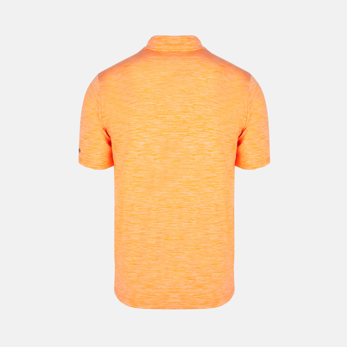 INSEGUIMENTO DEL POLO