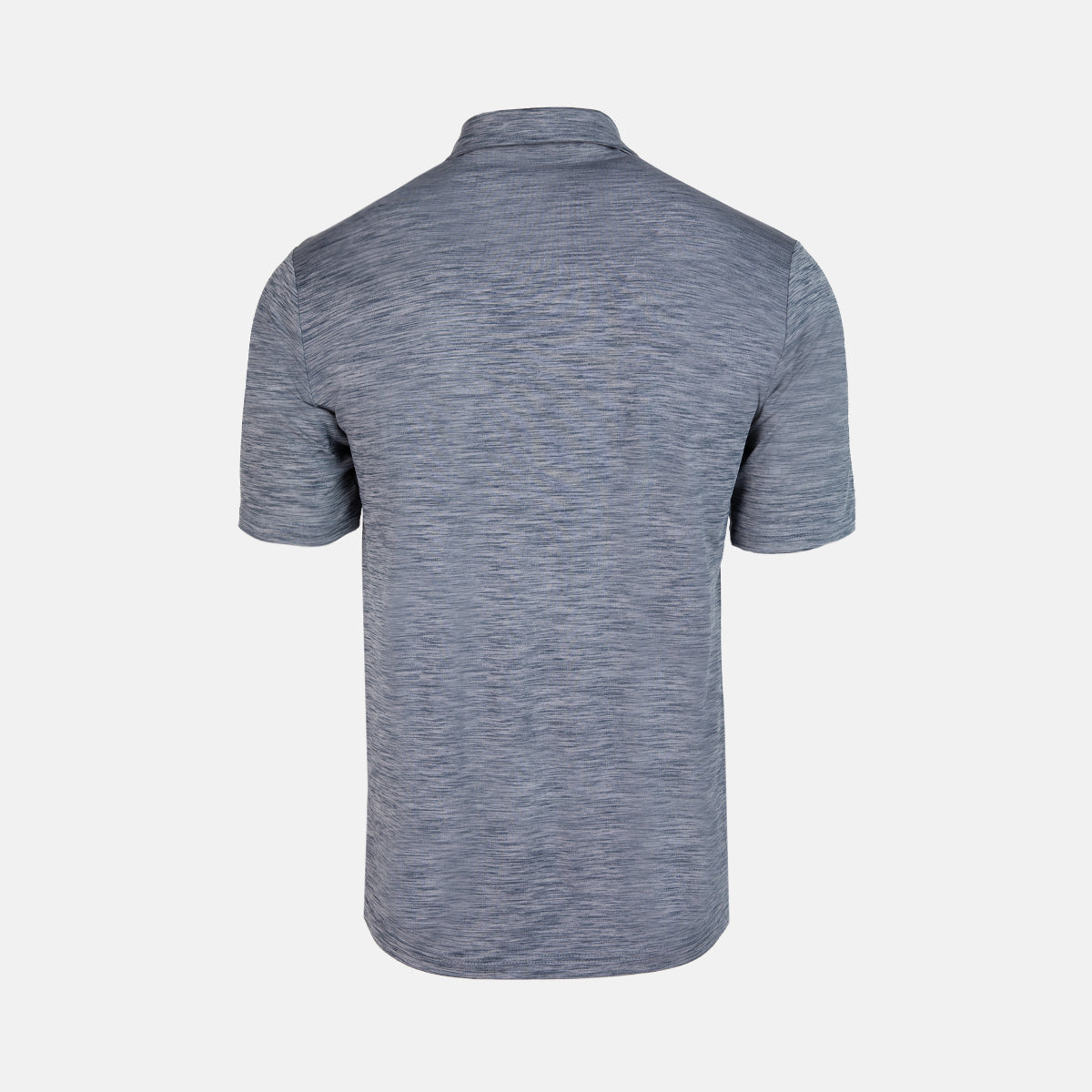 INSEGUIMENTO DEL POLO