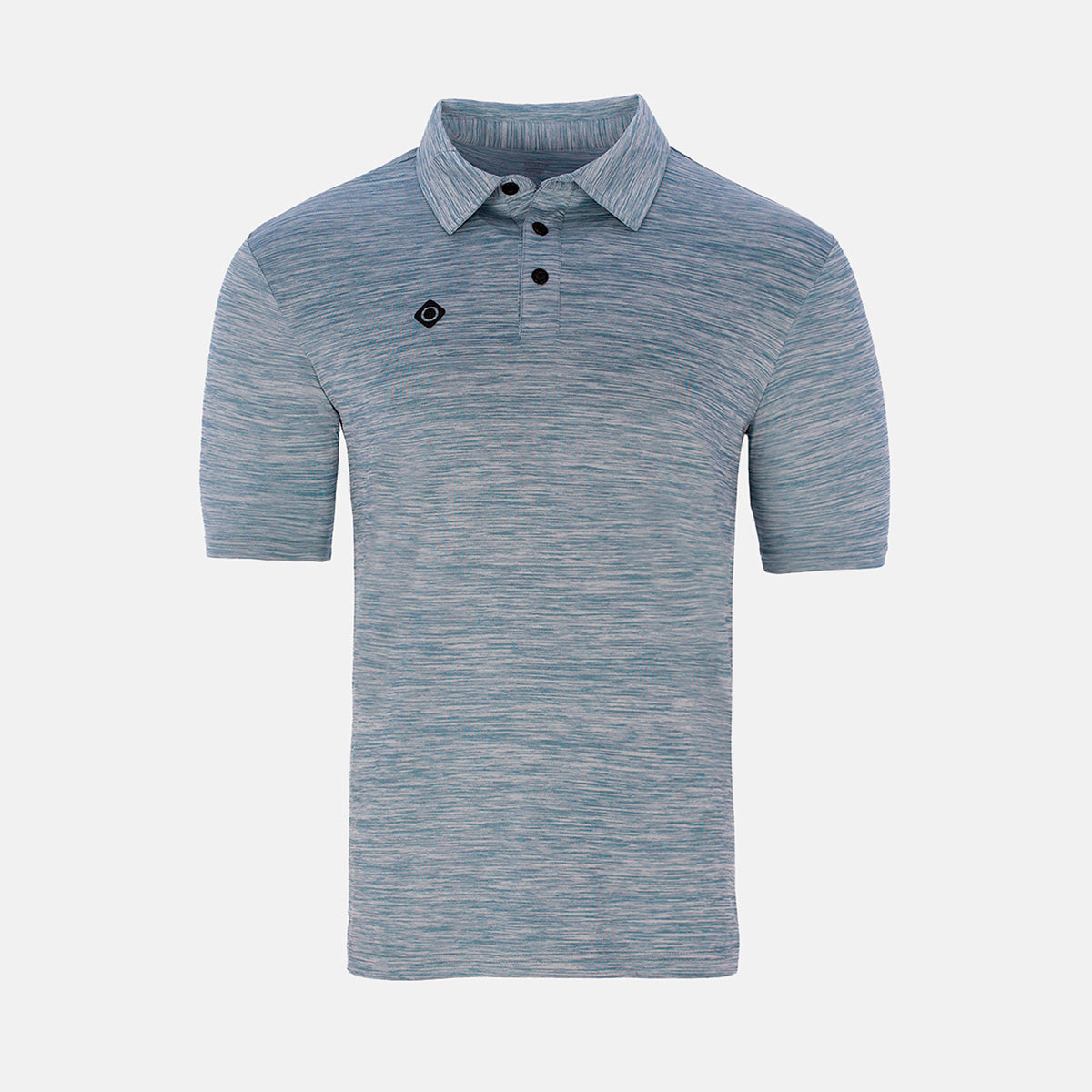 INSEGUIMENTO DEL POLO