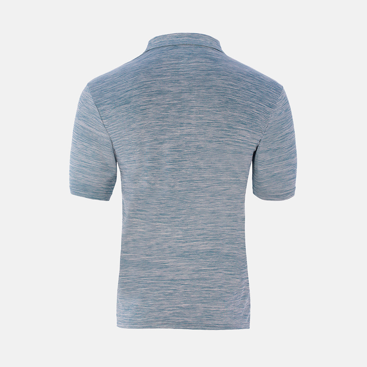 INSEGUIMENTO DEL POLO