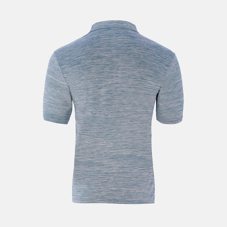 INSEGUIMENTO DEL POLO