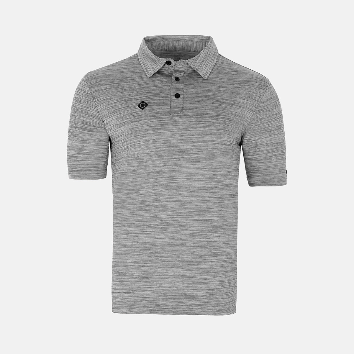 INSEGUIMENTO DEL POLO